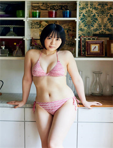 《淑女之家 电视剧》